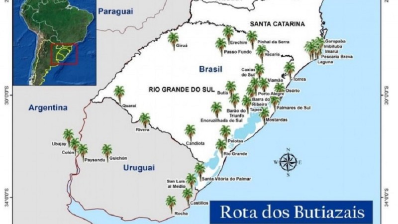 rota butiazais