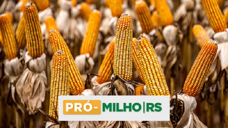 pró milho RS