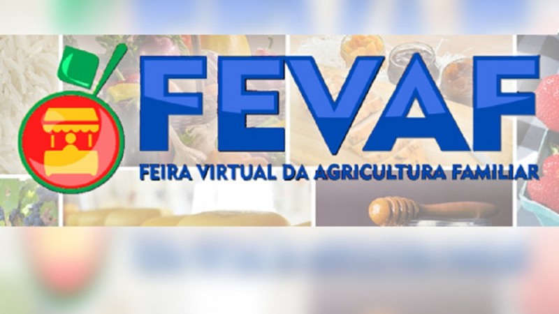 Fevaf card2