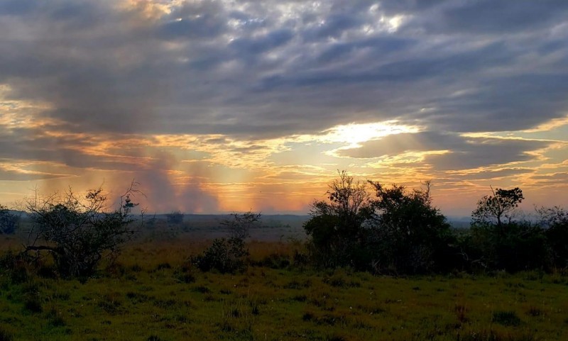 fogo Banhado Grande2