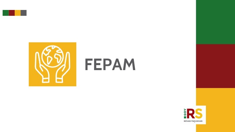 Fepam card