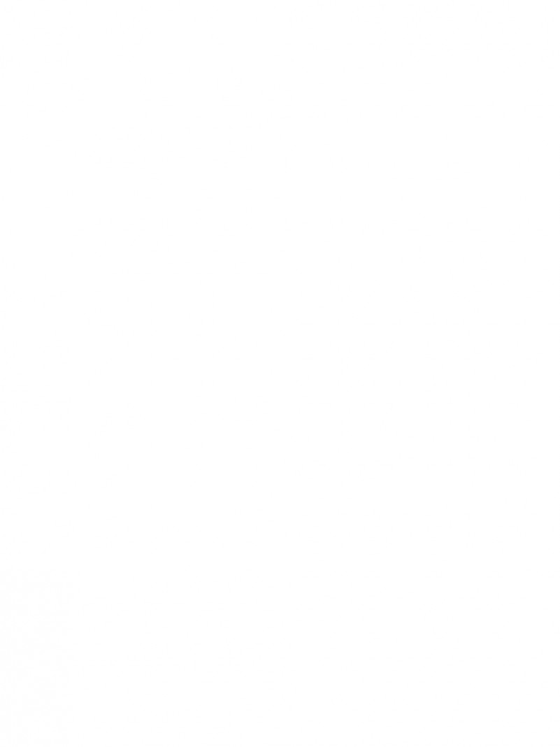 Imagem em branco