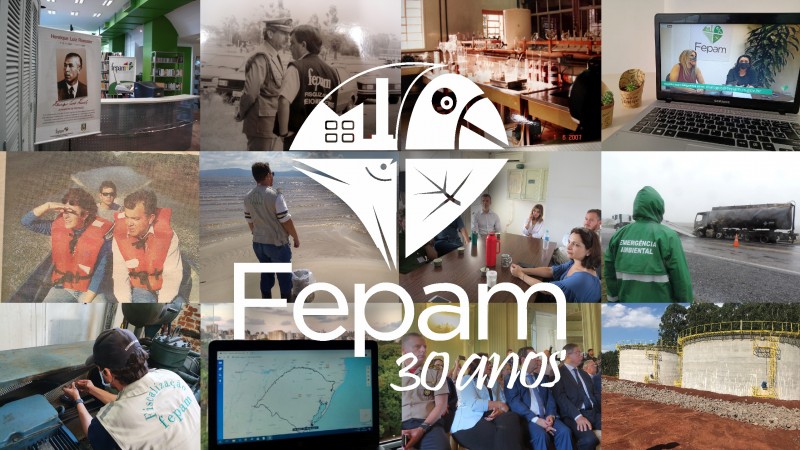 fepam 30 anos