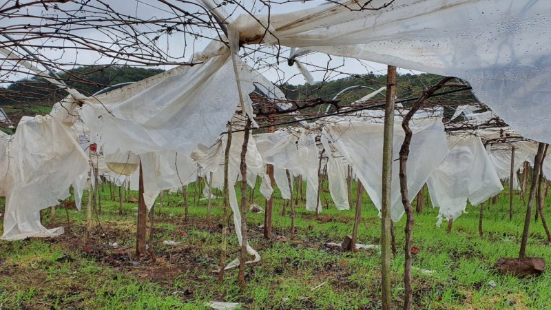 Temporal e ciclone provocam danos estruturais em zona rural, mas não prejuízos significativos para culturas e criações