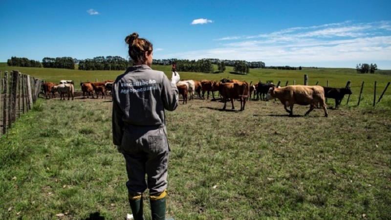 fiscaliza&ccedil;&atilde;o agropecu&aacute;ria