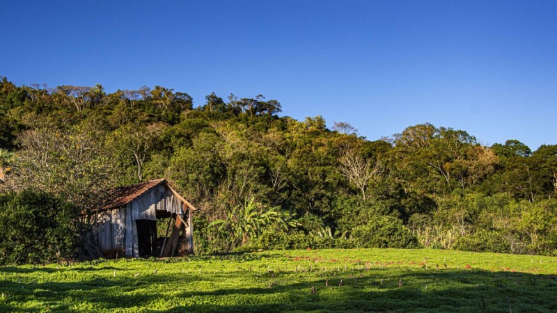 Casa campo 11