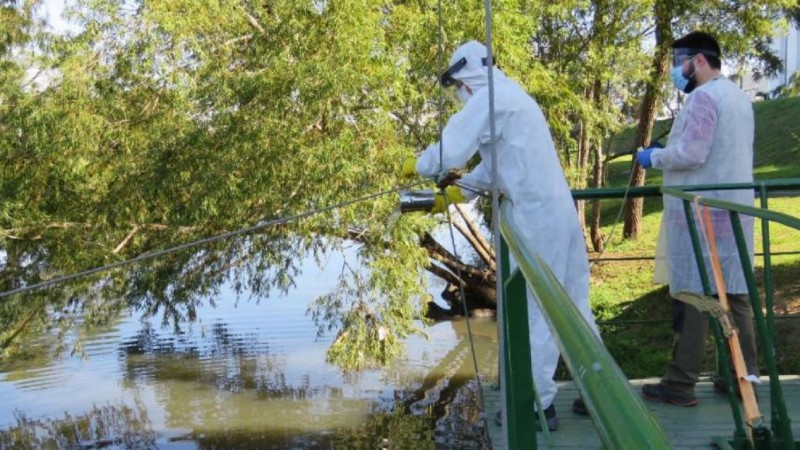 Análise esgoto Dilúvio