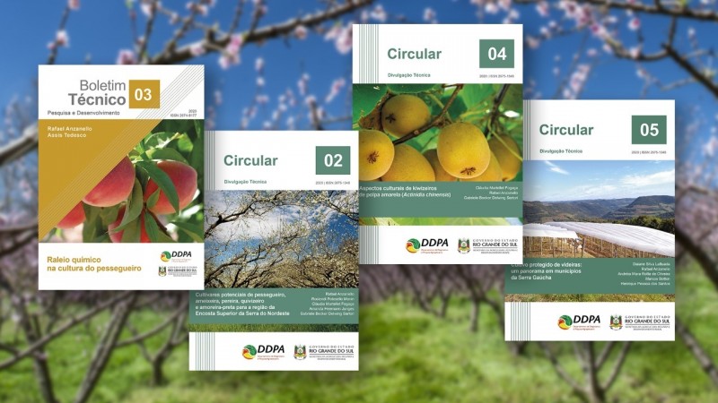 capas boletim e circulares