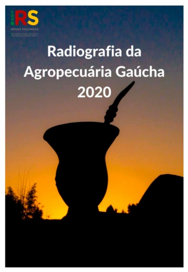 radiografia agro RS 2020