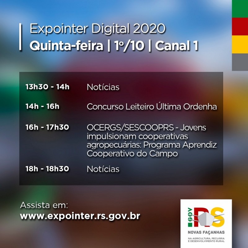 programação canal 1 dia 1 outubro