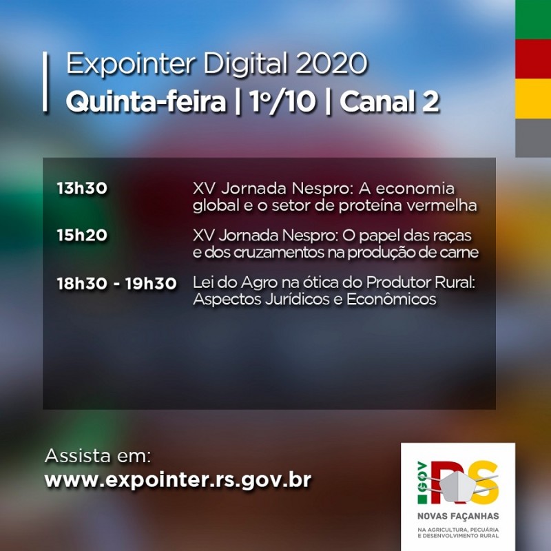 canal 2 programação expointer