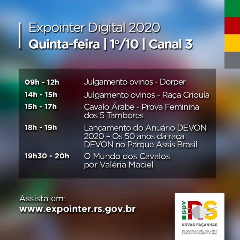 canal 3 programação