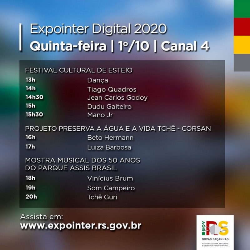 canal 4 programação