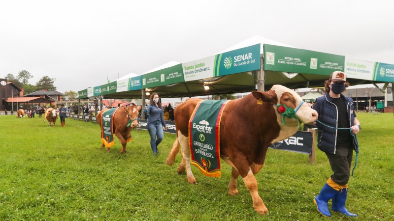 abertura oficial expointer 2020e