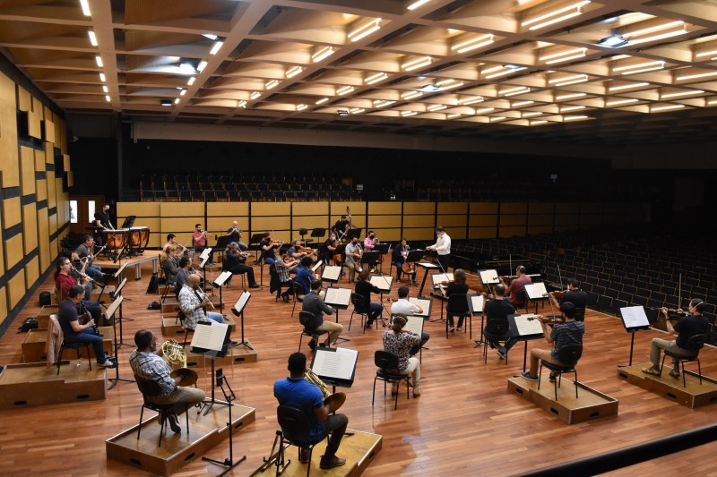Ospa Beethoven CarolChaves