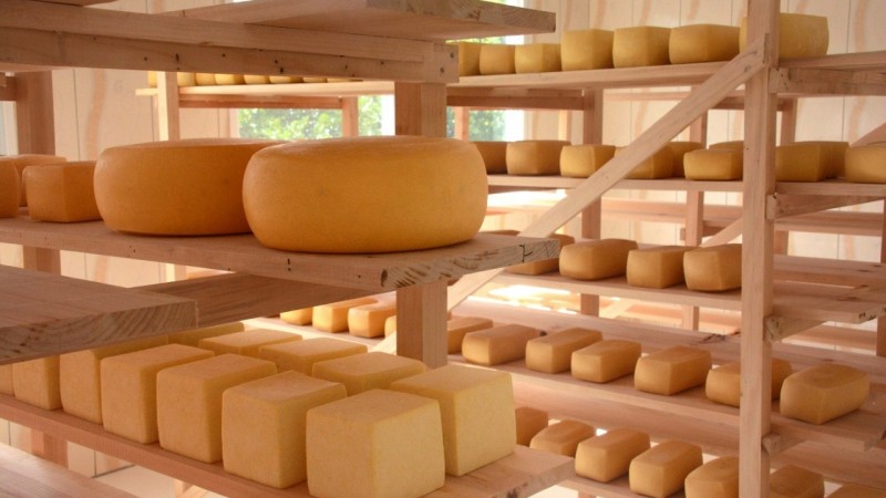 queijo artesanal serrano 1