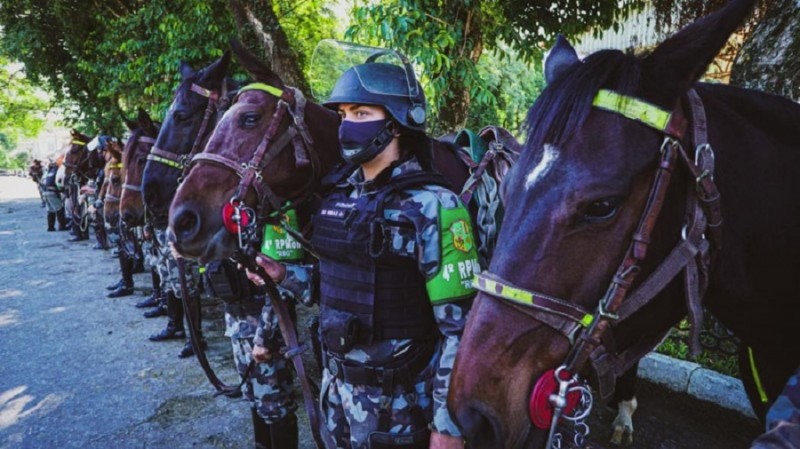 dia da cavalaria