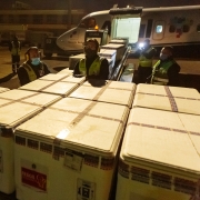 Caixas térmicas chegaram em voo vindo de Guarulhos que pousou pouco depois das 6h desta quarta (26/5) no aeroporto da capital