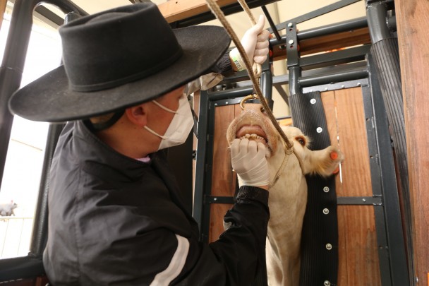 51427462506 860f3f7657 k