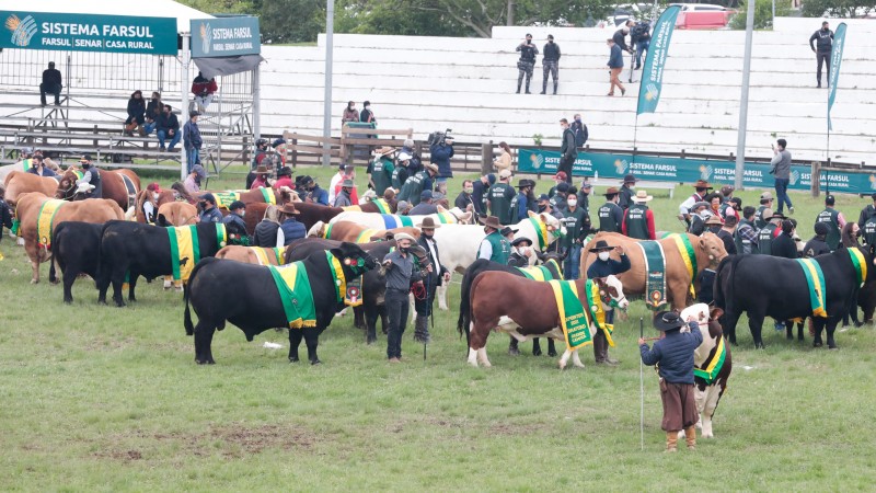 51443727429 8ca12b7645 k