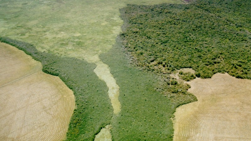 Reserva São  Donato aérea