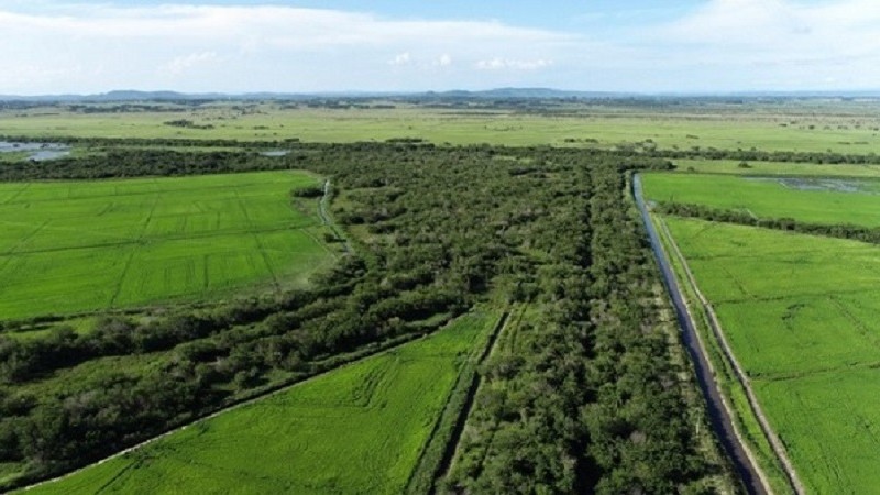 Bacia Gravataí