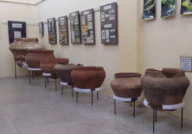 Marsul Acervo