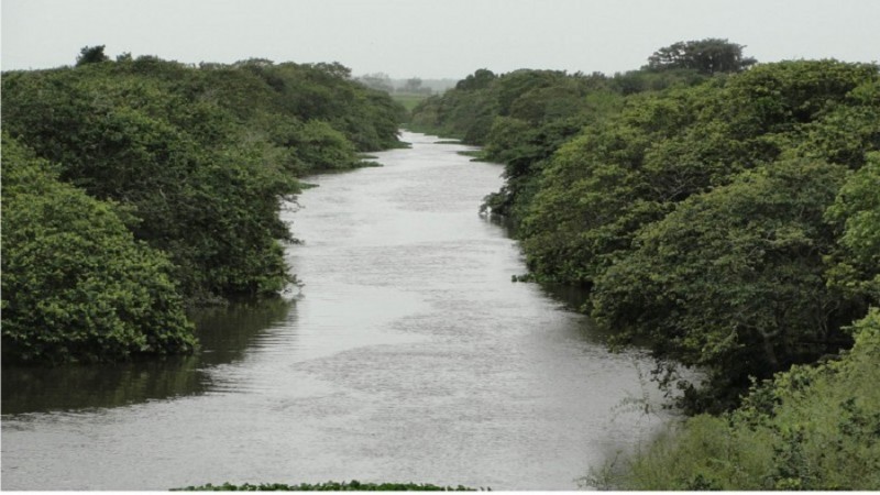 rio capivari litoral medio