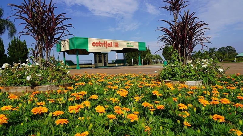 Cotrijal