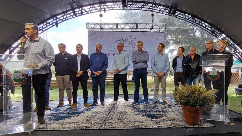 Abertura colheita de noz pecã divulgação seapi