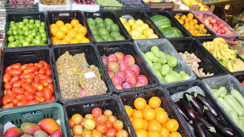 frutas e legumes ceasa 2023