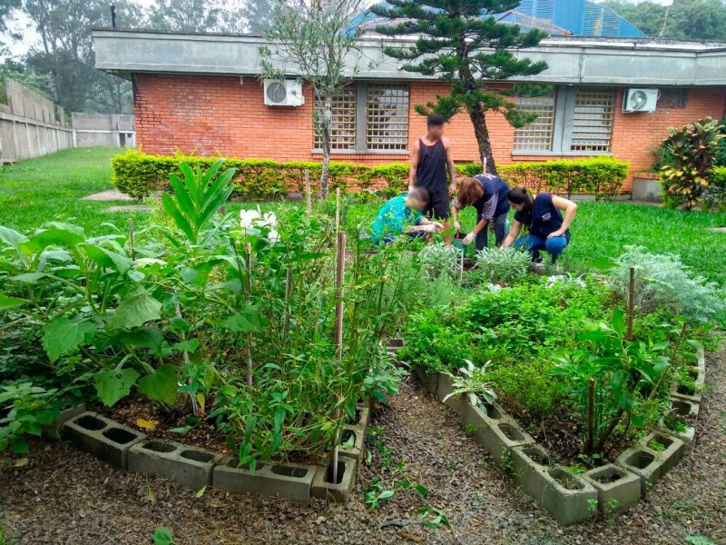 Hortas SSPS fase projeto meio ambiente