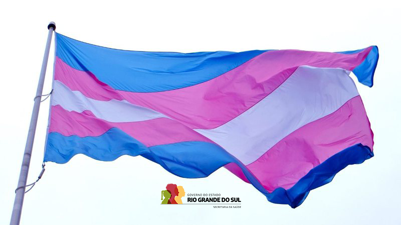 Bandeira Trans com logo GOV SES