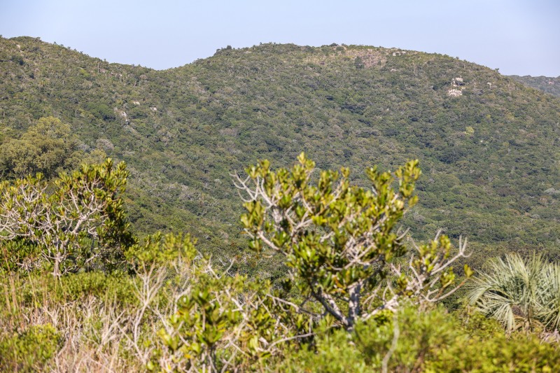 Parque Estadual de Itapuã 7