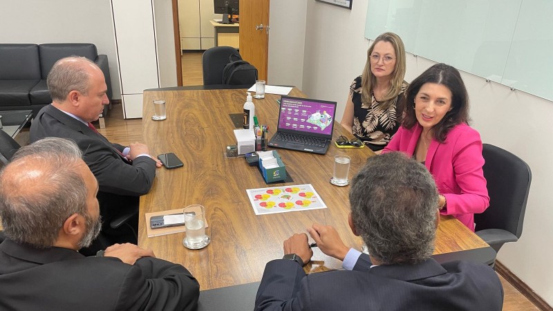 Numa sala de reuniões, cinco pessoas estão sentadas ao redor de uma mesa. São três homens e duas mulheres. Uma delas é Simone, que se dirige a um dos homens.