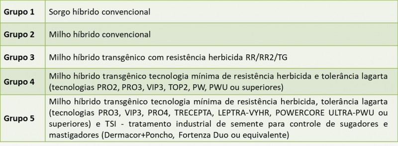 Grupos de Sementes programa troca troca milho sorgo