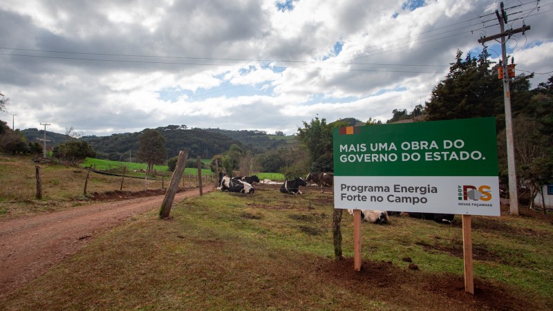 Em ambiente rural, uma uma grande placa em que se lê "Mais uma obra do governo do Estado", com fundo verde; na metade de baixo, está escrito "Programa Energia Forte no Campo", em fundo branco. Aparece também a logo da gestão 2015-2019 do governo. Há vacas deitadas na grama, cercadas por uma cerca formada por arame e tocos de madeira. O céu está nublado.