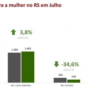 Gráfico em colunas: Violência contra mulher no RS em julho de 2023.