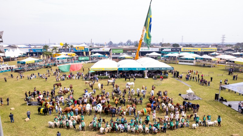 Visão aérea da pista central do Parque de Exposições Assis Brasil, onde estão reunidos todos os criados com seus animais premiados na Expointer, no evento de desfile dos grandes campeões da feira. Ao fundo, tendas e um grande gindaste com a bandeira do Brasil.