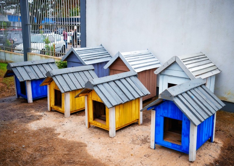 Casinhas de cachorro produzidas por apenados que serão distribuídas para animais de famílias atingidas pelas enchentes no Vale do Taquari.