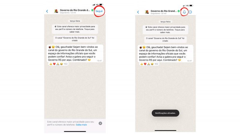 Duas telas copiadas do WhatsApp ensinando como começar a seguir o canal do Governo do Rio Grande do Sul.