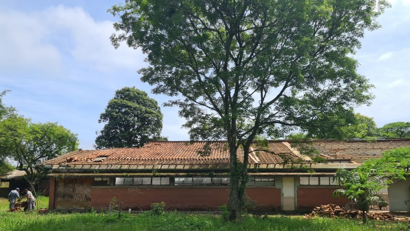 Foto em ambiente aberto da escola, que tem um andar. As paredes são de cor marrom, há janelas pequenas e telhas. Em frente a escola, há uma grande árvore, em um gramado verde.