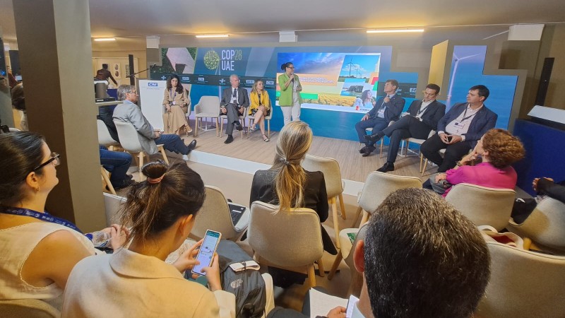 COP28 último dia
