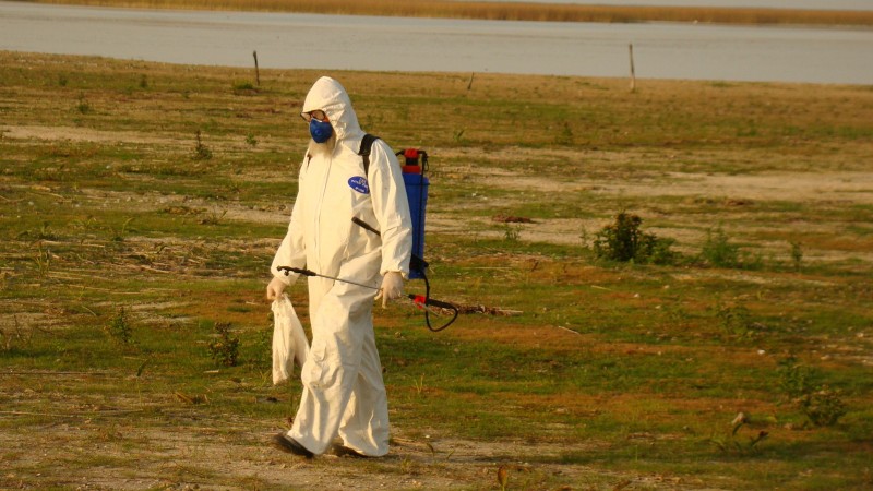 Foto em ambiente aberto, no campo. Uma pessoa, trajando uma vestimenta branca de proteção contra contaminação e portando um aparelho azul nas costas aparece caminhando.