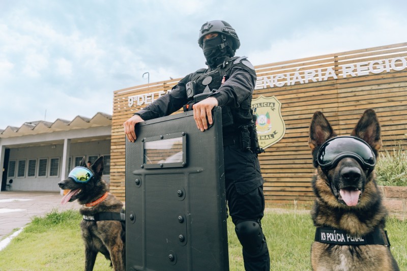 Foto em ambiente acerto, num gramado em frente ao departamento de polícia. Um policial de trajes, capacete e escudo preto está de pé entre dois cães, sentados. Os animais usam óculos de proteção.