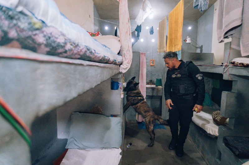 Foto dentro de uma cela de presídio. Um policial acompanha um cão, que fareja algo na cela, que tem camas e está com várias toalhas e roupas penduradas em varais improvisados.