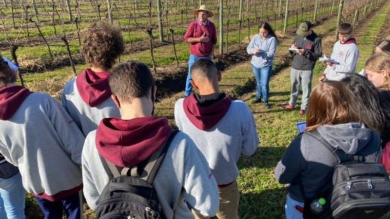 Projeto educacional entre escola agrícola e SDR será atração do South Summit Brazil 2024