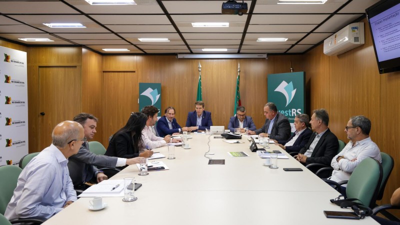 Foto de sala de reunião, com paredes que imitam madeira. Uma grande mesa branca está cercada por 11 pessoas que participam do encontro.
