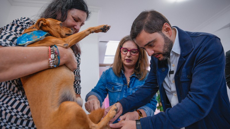 Gabriel em visita ao projeto Bicho de Rua avalia a para de uma cachorra que é segurada pela dona, uma das líderes do projeto. Uma segunda mulher també pode ser vista na imagem.