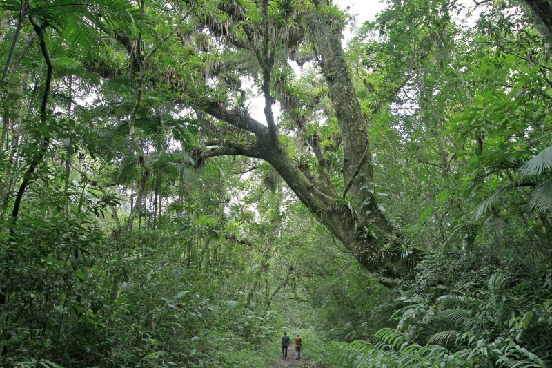 Regiao onde foi feita a soltura Foto Mariano Pairet Jr